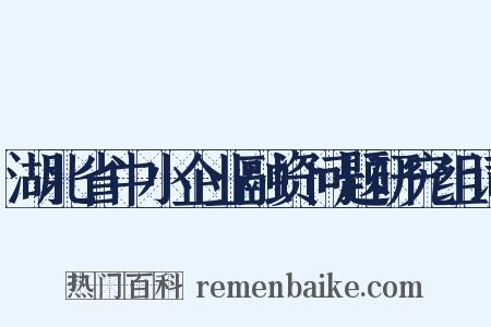 湖北省中小企业融资问题研究组词是什么意思的图片